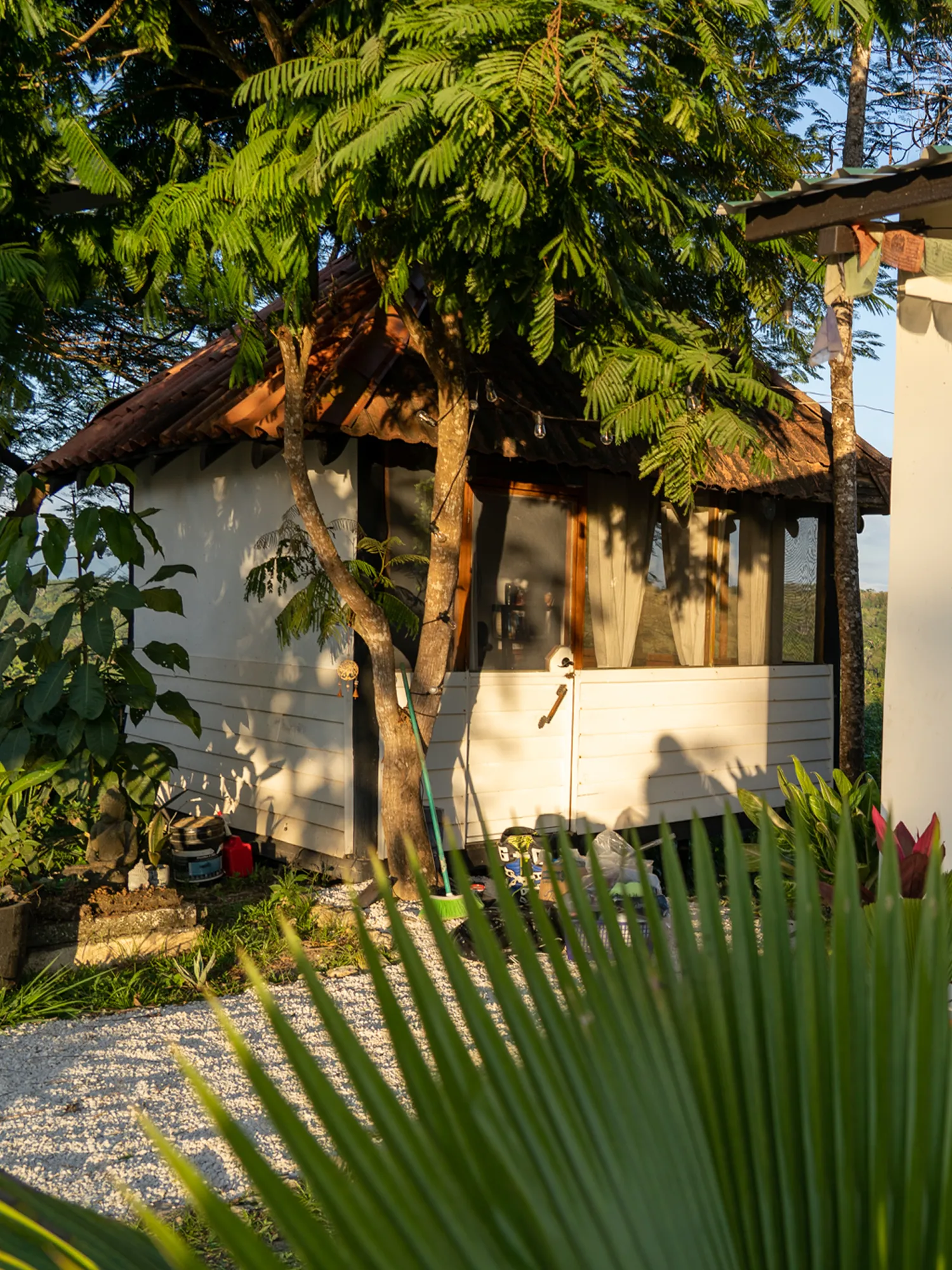 Jungle Bungalow — view 1