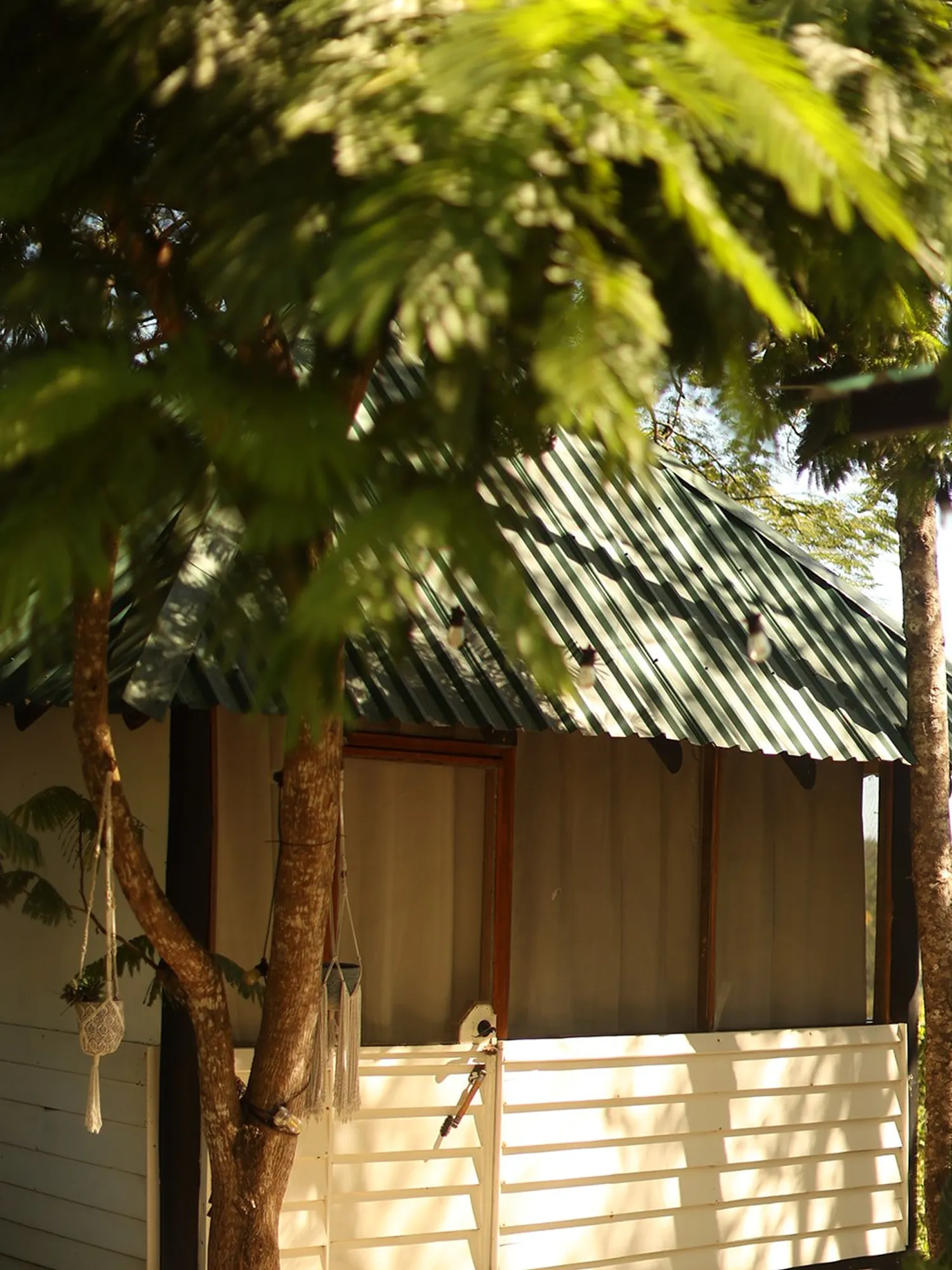 Jungle Bungalow — view 2